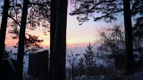 Silhouettes and sunset 库存影片 120538833