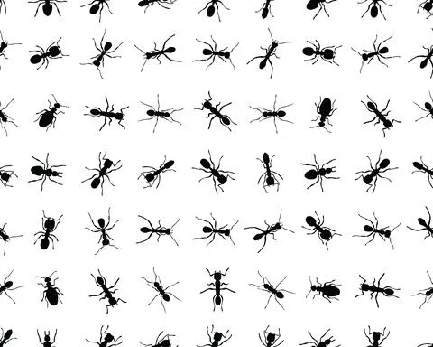 Silhouettes of ants, seamless Stock Illustration
