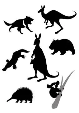 Silhouettes of australian animals Stock Illustration