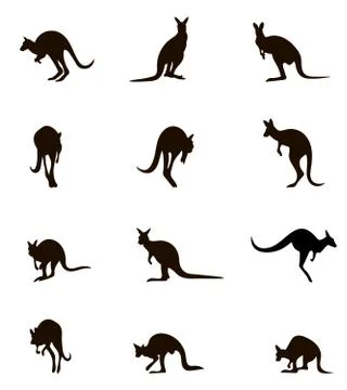 Silhouettes Australian kangaroo. Stock Illustration