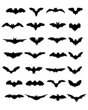 Silhouettes of bats Stock Illustration
