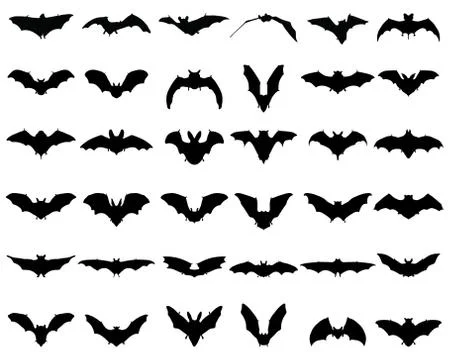 Silhouettes of bats Stock Illustration