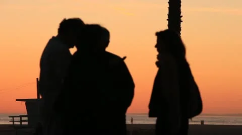 Silhouettes on Beach 動画素材 22390428