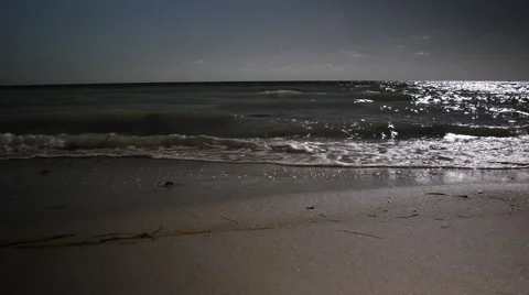 Silhouettes on beach. Stock Footage 53867433