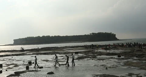 Silhouettes at Beach Stock Footage 320346190