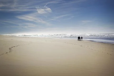 Silhouettes on the beach 写真素材