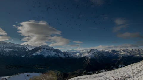 Silhouettes of birds Vídeo Stock 145933705