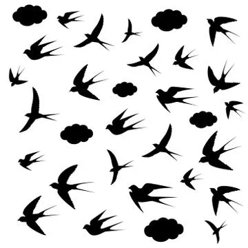 Silhouettes of birds Stock Illustration
