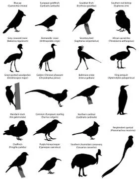 Silhouettes of birds Illustrazione stock