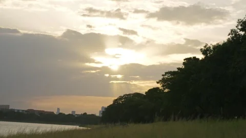 Silhouettes of Birds on a Tree at Sunset with light rays 스톡 동영상 314706659