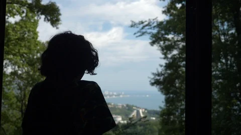Silhouettes of a boy looking out the window at the seascape Stock-Footage 116134173