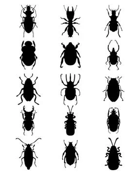 Silhouettes of bugs Stock Illustration