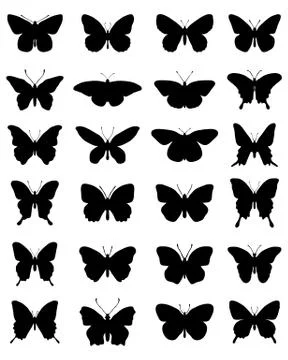 Silhouettes of butterflies  Stock Illustration