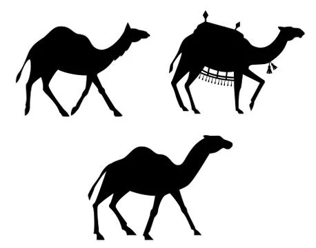 Silhouettes of camels. Stock Illustration