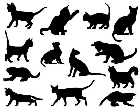 Silhouettes of cats Illustrazione stock