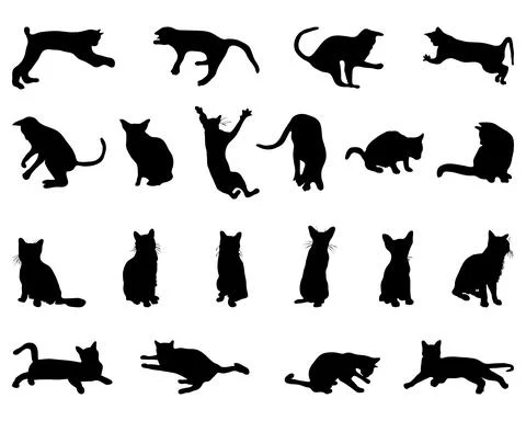 Silhouettes of cats Stock Illustration