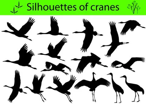 Silhouettes of cranes Stock Illustration
