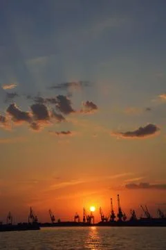 Silhouettes of cranes Stock Photos