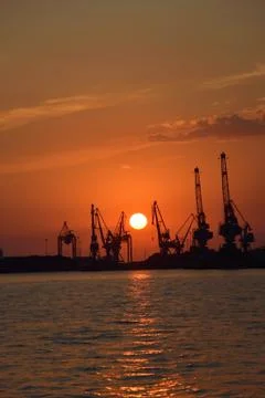 Silhouettes of cranes Stock Photos