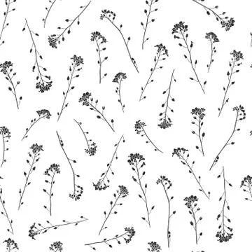 Silhouettes of delicate flowers pattern background black on white Stock Illustration