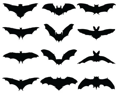 Silhouettes of different bats Stock Illustration