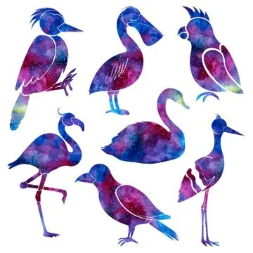 Silhouettes of different birds. Space background. Stock Illustration
