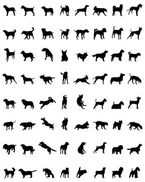 Silhouettes of dogs Stock Illustration