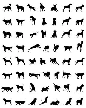 Silhouettes of dogs Stock Illustration