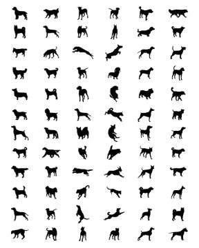 Silhouettes of dogs Stock Illustration