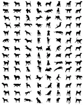 Silhouettes of dogs Stock Illustration