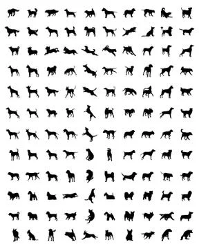 Silhouettes of dogs Stock Illustration