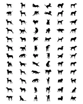 Silhouettes of dogs Stock Illustration