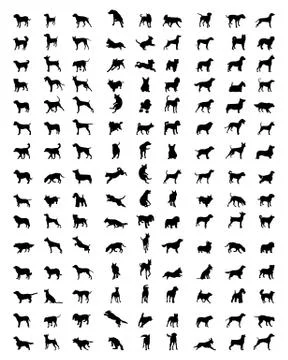 Silhouettes of dogs Stock Illustration