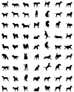 Silhouettes of  dogs Stock Illustration