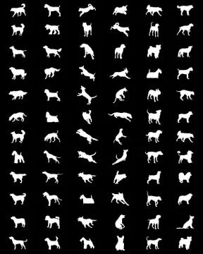 Silhouettes  of dogs Stock Illustration