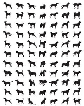 Silhouettes of dogs Stock Illustration