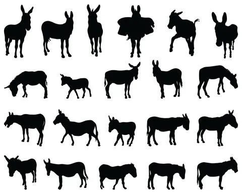 Silhouettes of donkeys Stock Illustration