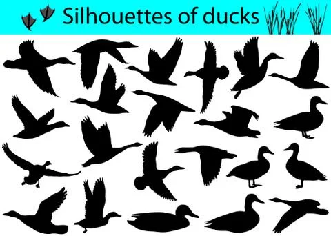 Silhouettes of ducks Illustrazione stock
