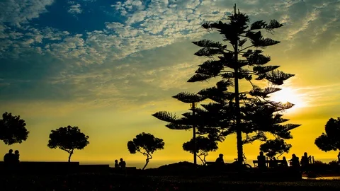 Silhouettes during Sunset Stock Footage 96807437