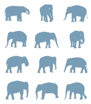 Silhouettes of elephants. Stock Illustration