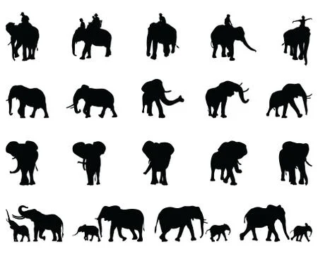 Silhouettes of elephants Stock Illustration