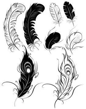 Silhouettes of feathers Stock Illustration