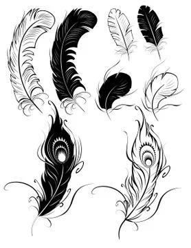 Silhouettes of Feathers Illustrazione stock