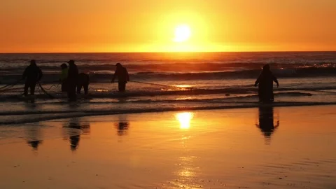 Silhouettes of Fishermen Pulling Net at Sunset on Portugals Atlantic Shore Stock Footage 310387877