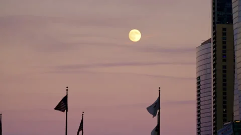 Silhouettes of flags fluttering in the wind on the bridge and high-rise Stock Footage 319363695