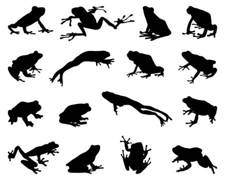 Silhouettes of frogs Stock Illustration