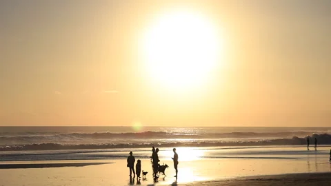Silhouettes in front of sunset walking on beach. Indian ocean Stock Footage 157997059