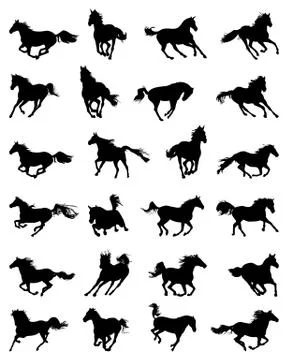 Silhouettes of galloping horses Stock Illustration
