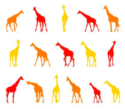 Silhouettes of giraffes. Stock Illustration