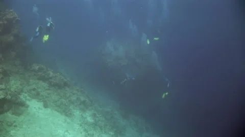 Silhouettes of group of divers at sea depth underwater. Video stock 235789374